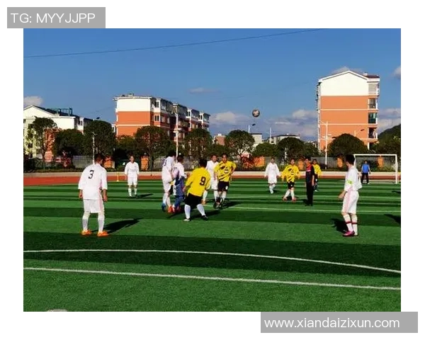 绿茵豪情与诗意交织细读足球球星人生华彩篇章